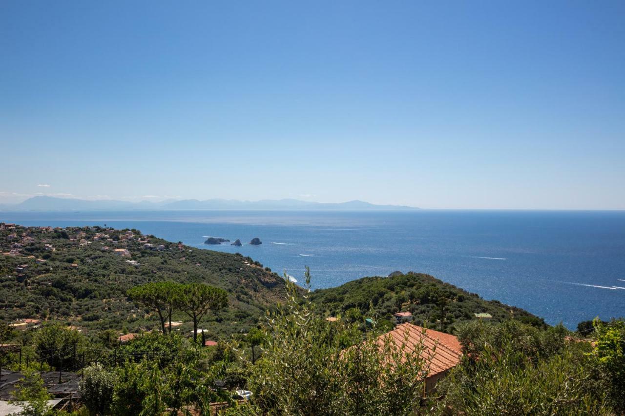 Geca'S House - Panoramic Sea View Studio Massa Lubrense Buitenkant foto